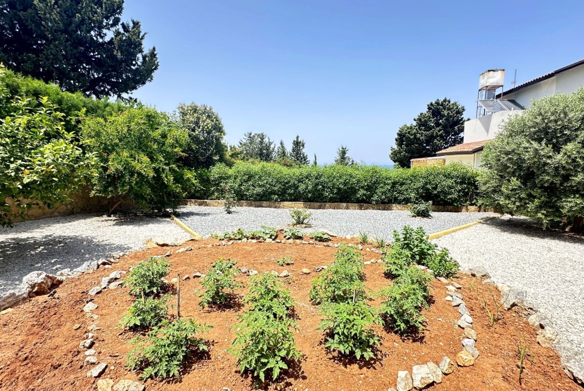 KLASIK KIBRIS VILLASI