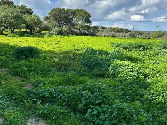 TEPEBAŞI: 4 DÖNÜM LAND WITH TURKISH TITLE DEED & CONSTRUCTION PERMIT