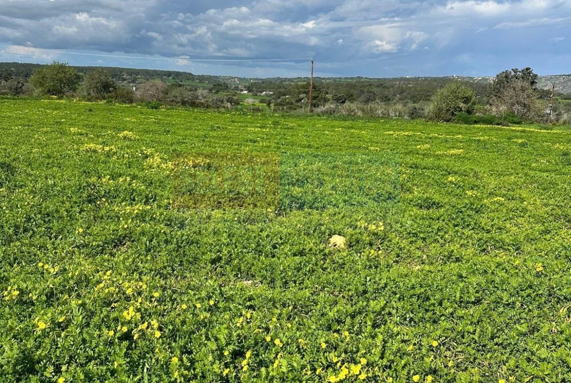TEPEBAŞI: 4 DÖNÜM LAND WITH TURKISH TITLE DEED & CONSTRUCTION PERMIT