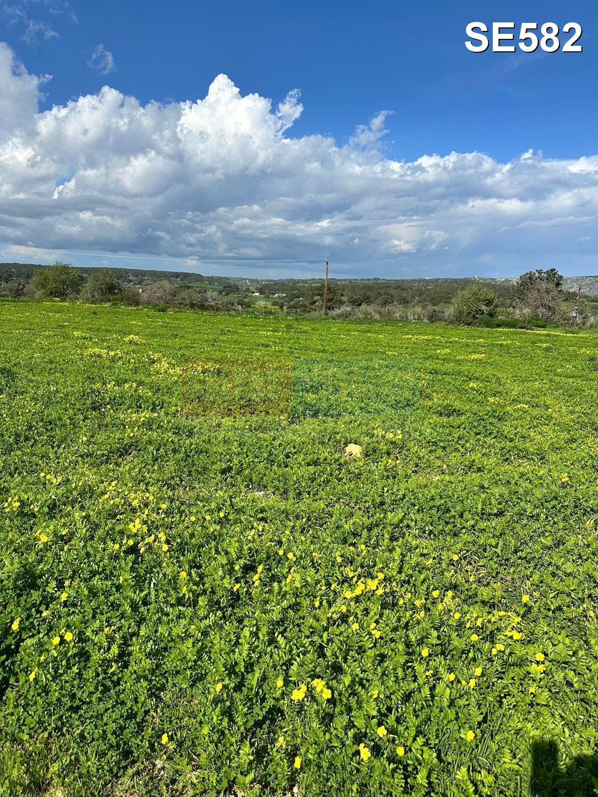 TEPEBAŞI: 4 DÖNÜM LAND WITH TURKISH TITLE DEED & CONSTRUCTION PERMIT