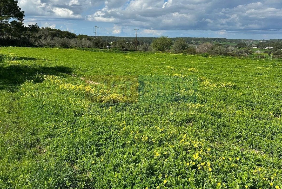 TEPEBAŞI: 4 DÖNÜM LAND WITH TURKISH TITLE DEED & CONSTRUCTION PERMIT