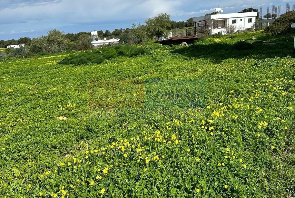 TEPEBAŞI: 4 DÖNÜM LAND WITH TURKISH TITLE DEED & CONSTRUCTION PERMIT