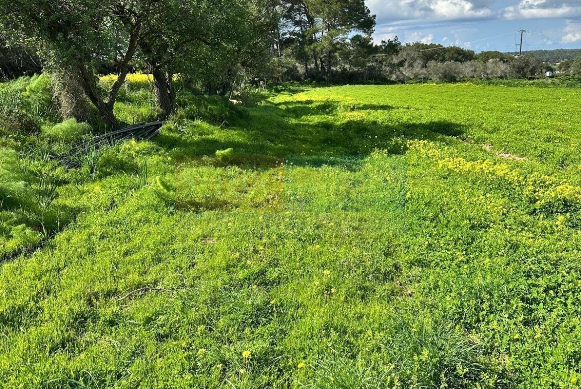 TEPEBAŞI: 4 DÖNÜM LAND WITH TURKISH TITLE DEED & CONSTRUCTION PERMIT
