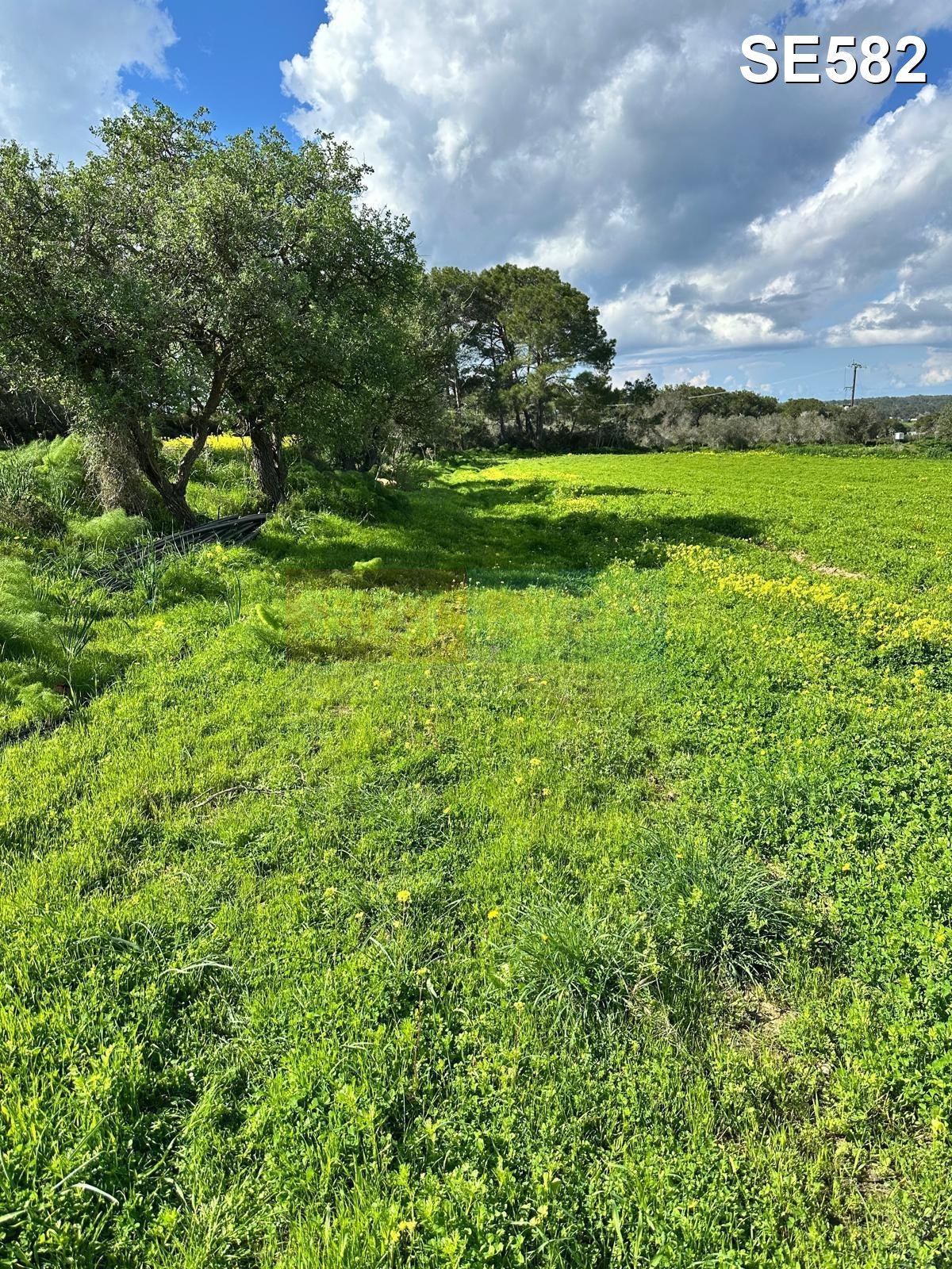 TEPEBAŞI: 4 DÖNÜM LAND WITH TURKISH TITLE DEED & CONSTRUCTION PERMIT
