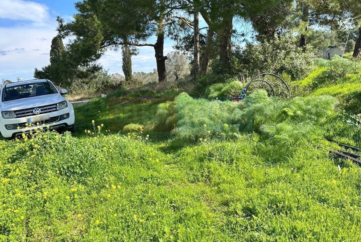 TEPEBAŞI: 4 DÖNÜM LAND WITH TURKISH TITLE DEED & CONSTRUCTION PERMIT
