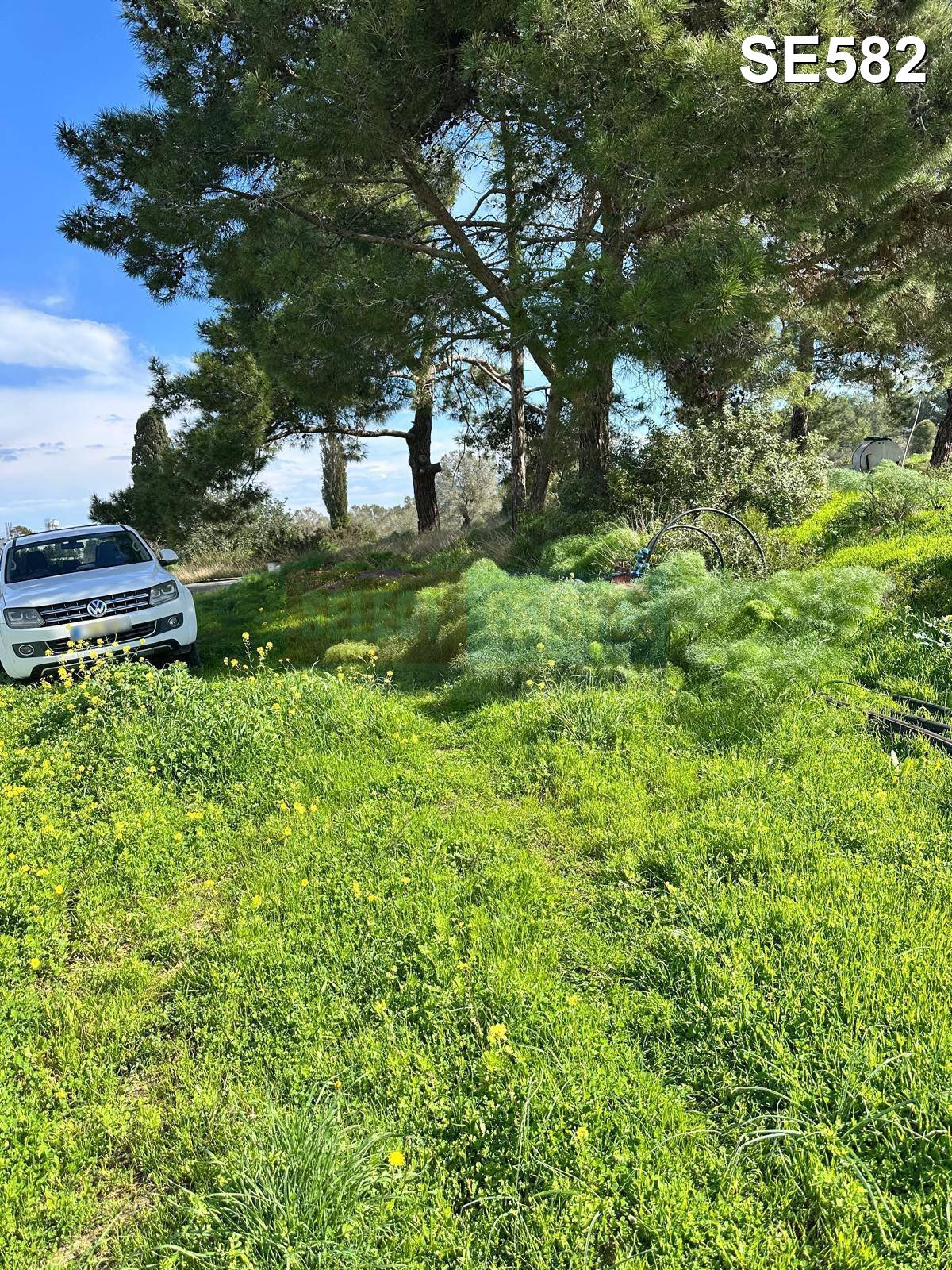TEPEBAŞI: 4 DÖNÜM LAND WITH TURKISH TITLE DEED & CONSTRUCTION PERMIT