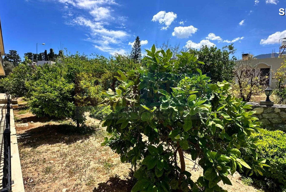 12 Studio Apartments for Sale as a Whole in Alsancak