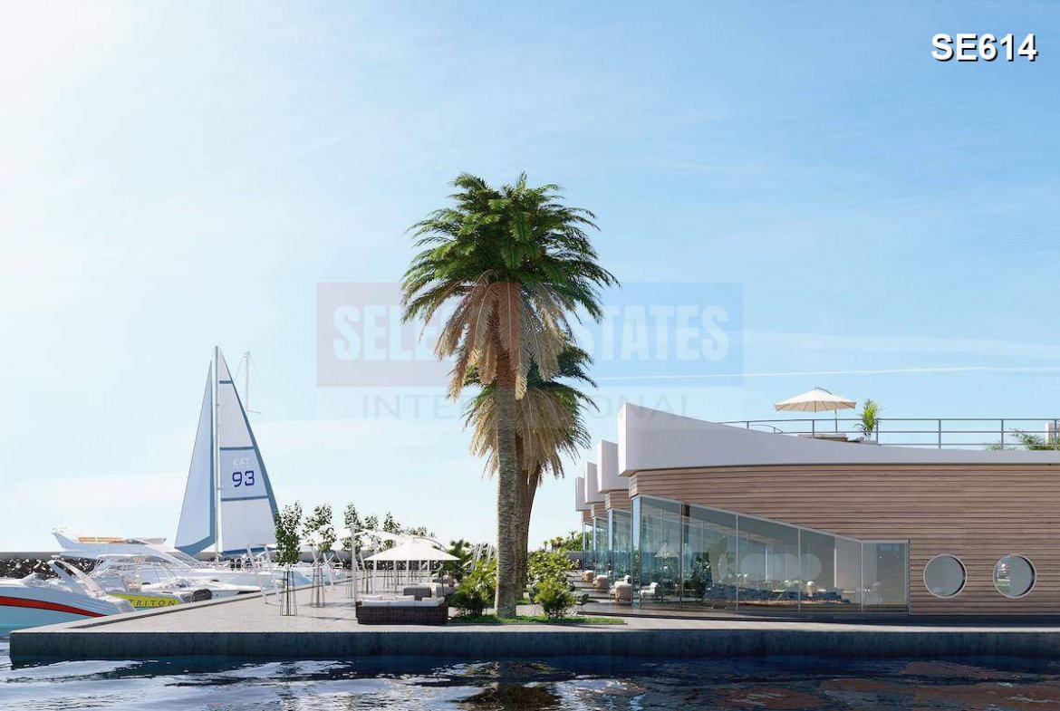 Luxury Beachfront Penthouse in Gaziveren