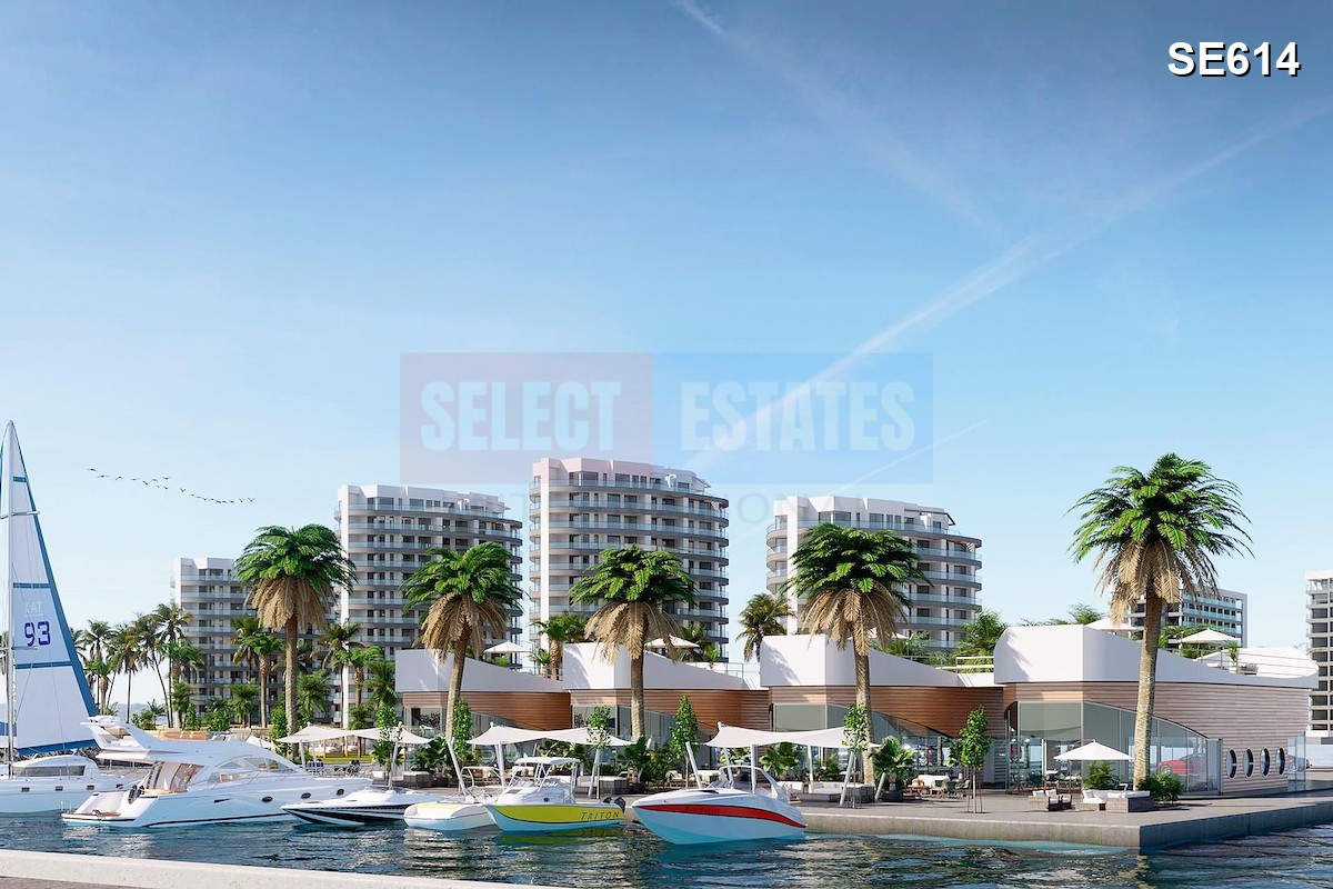 Luxury Beachfront Penthouse in Gaziveren