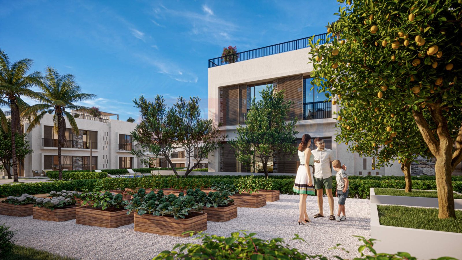 Ready To Move – Luxury Penthouse