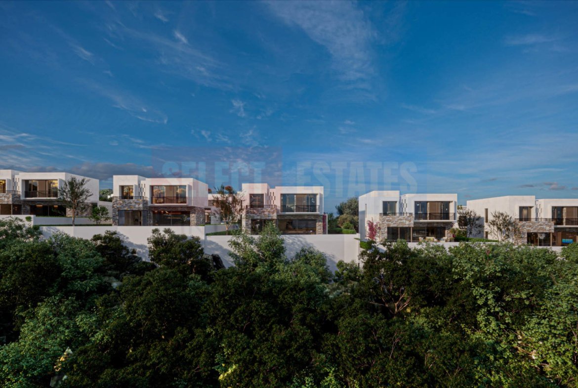 Ready To MOve – Luxury Detached Villa i