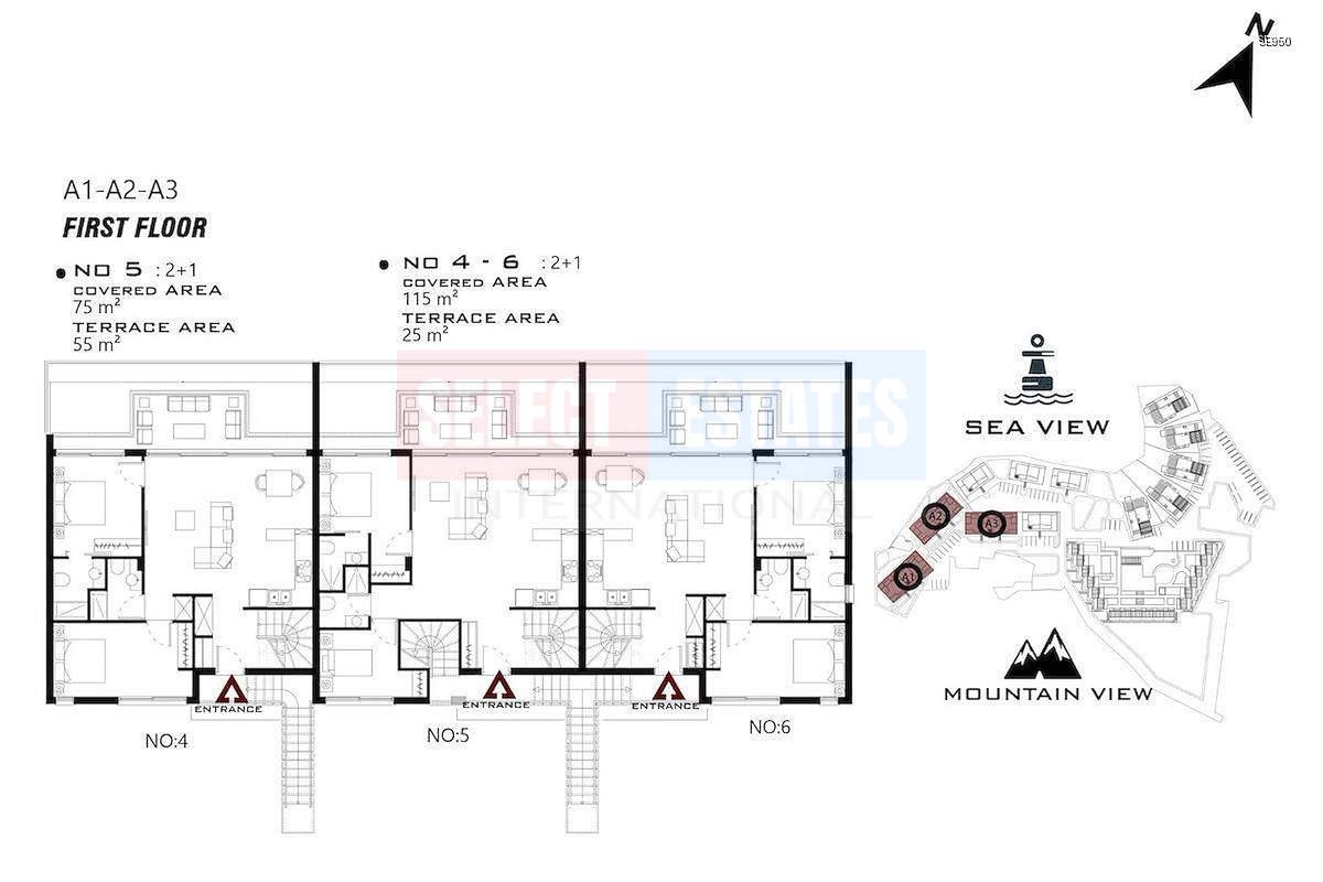 Luxury Ready-to-Move-In Apartment in Tatlısu