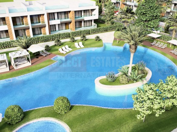 Luxury Ready Studio Penthouse with Terrace