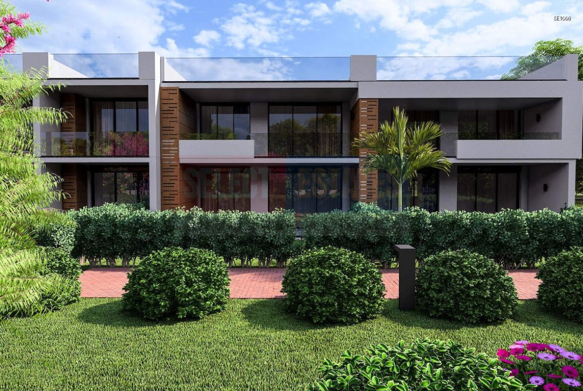 Luxury Ready Studio Penthouse with Terrace