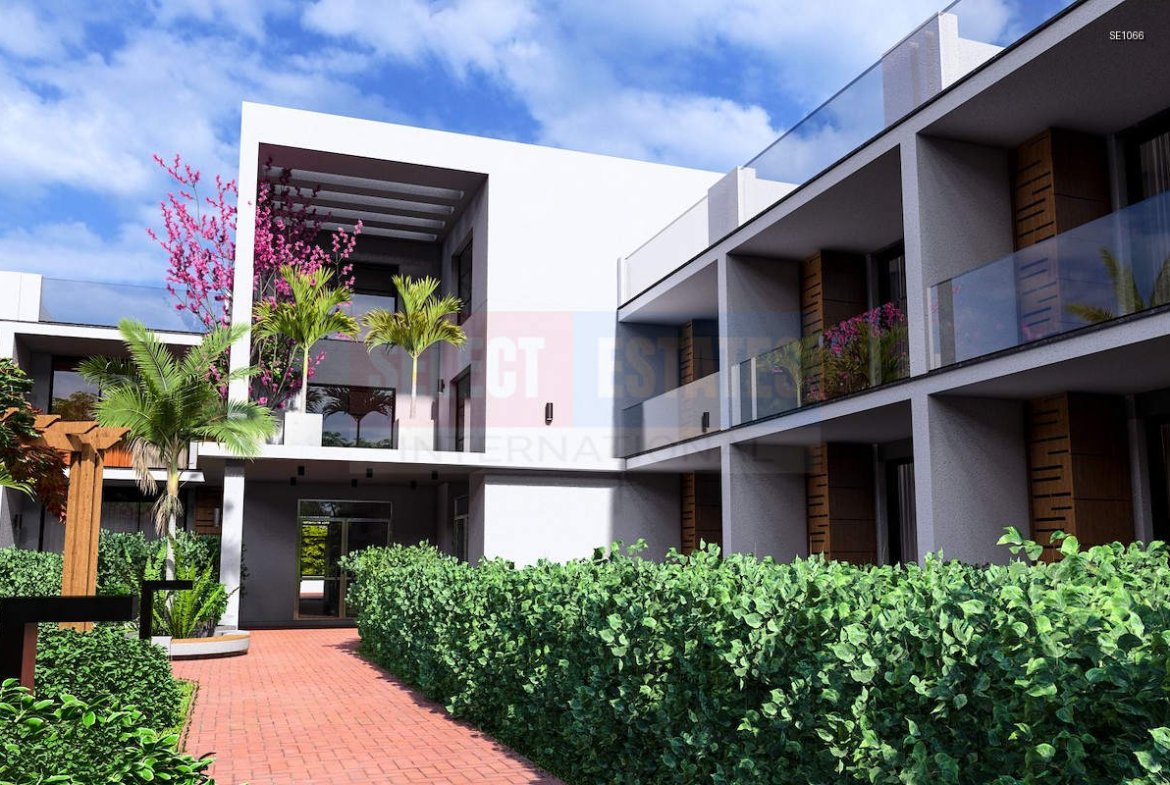 Luxury Ready Studio Penthouse with Terrace