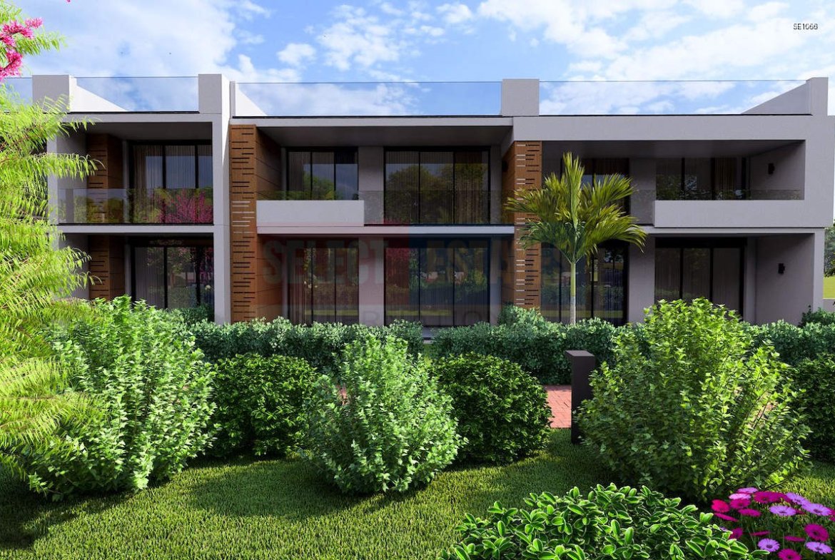 Luxury Ready Studio Penthouse with Terrace