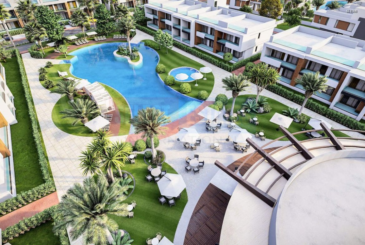 Luxury Ready Studio Penthouse with Terrace
