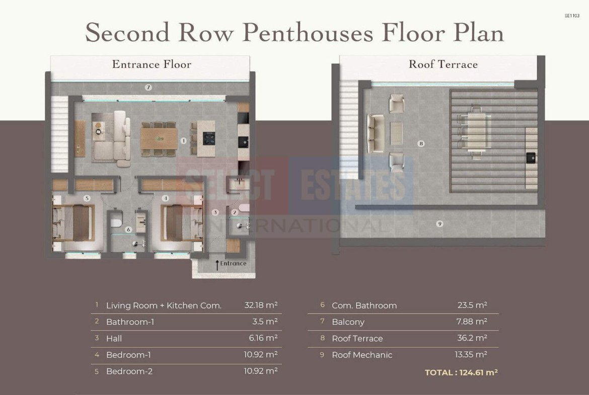 Sea View Penthouse in Esentepe