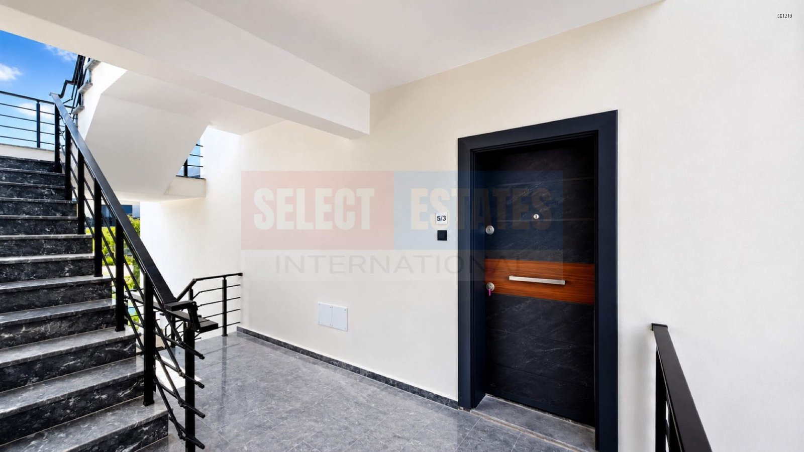 Furnished Luxury Villa For Rent