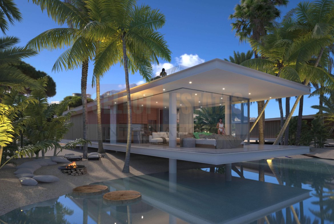 Luxury Villa in the Pool
