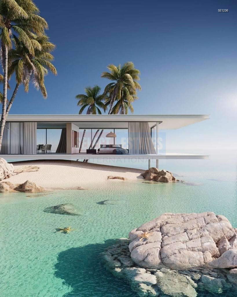 Luxury Villa in the Pool