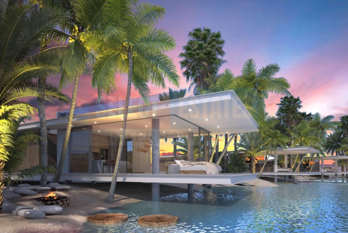 Luxury Villa in the Pool