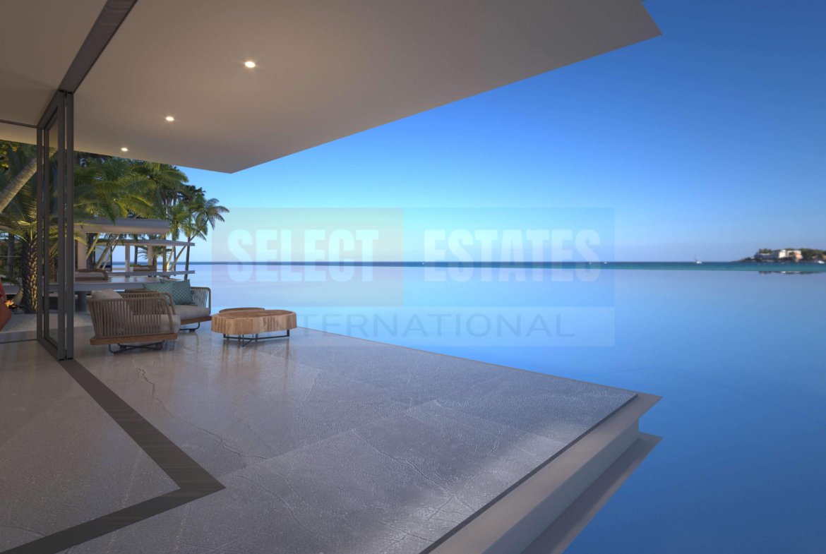 Luxury Villa in the Pool