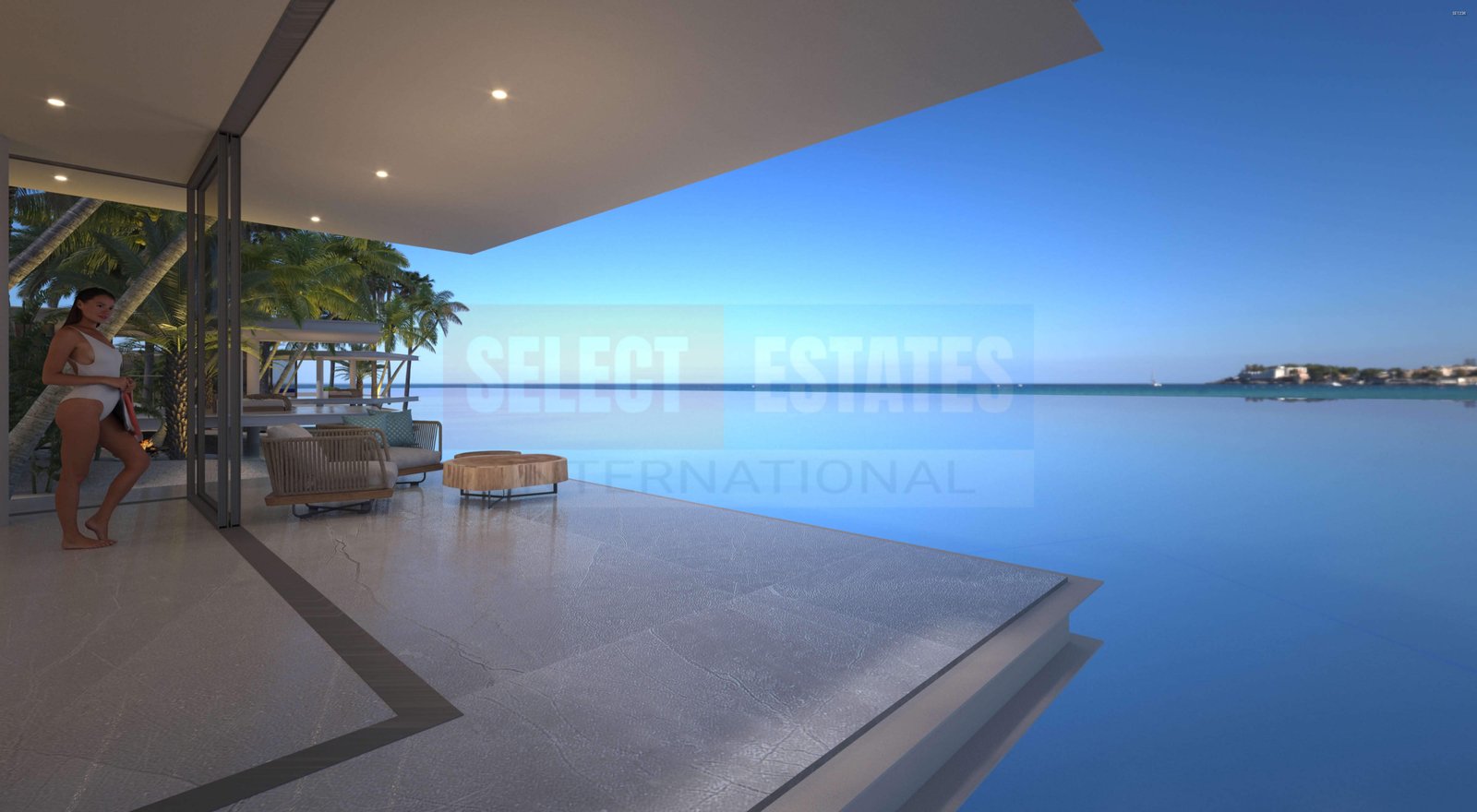 Luxury Villa in the Pool