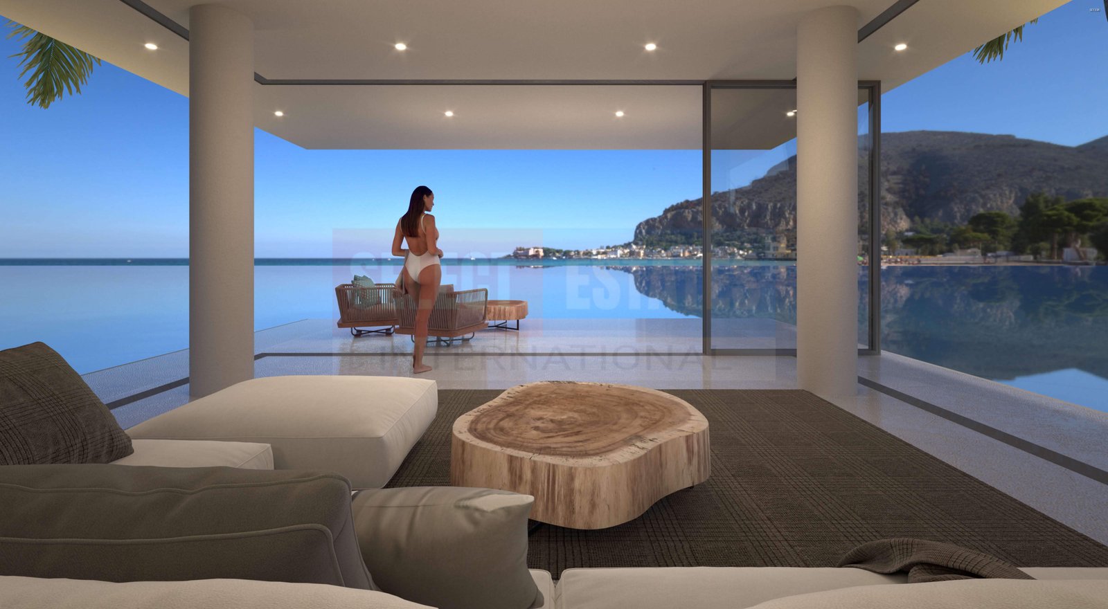 Luxury Villa in the Pool