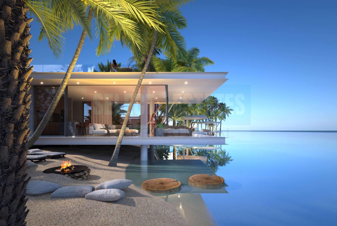 Luxury Villa in the Pool