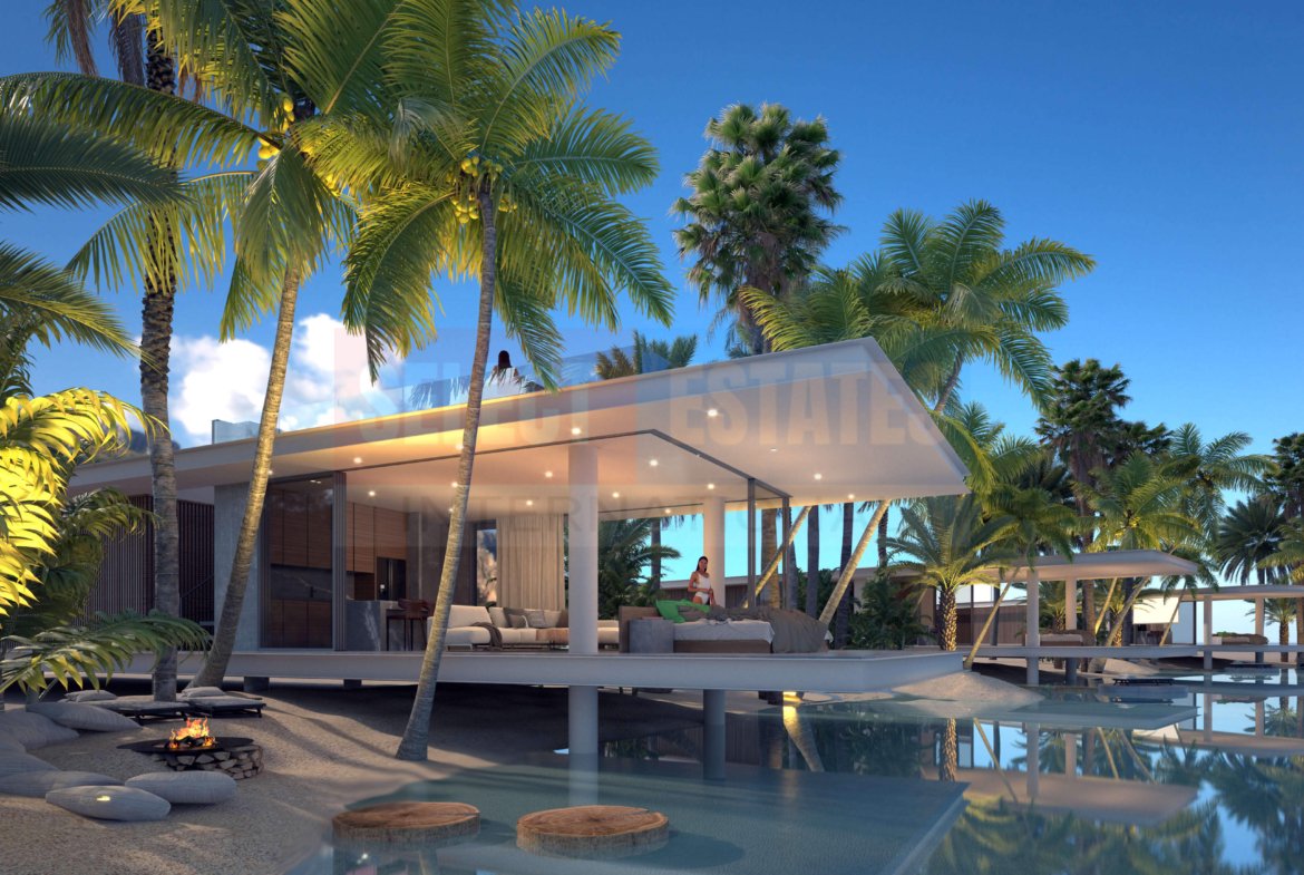 Luxury Villa in the Pool
