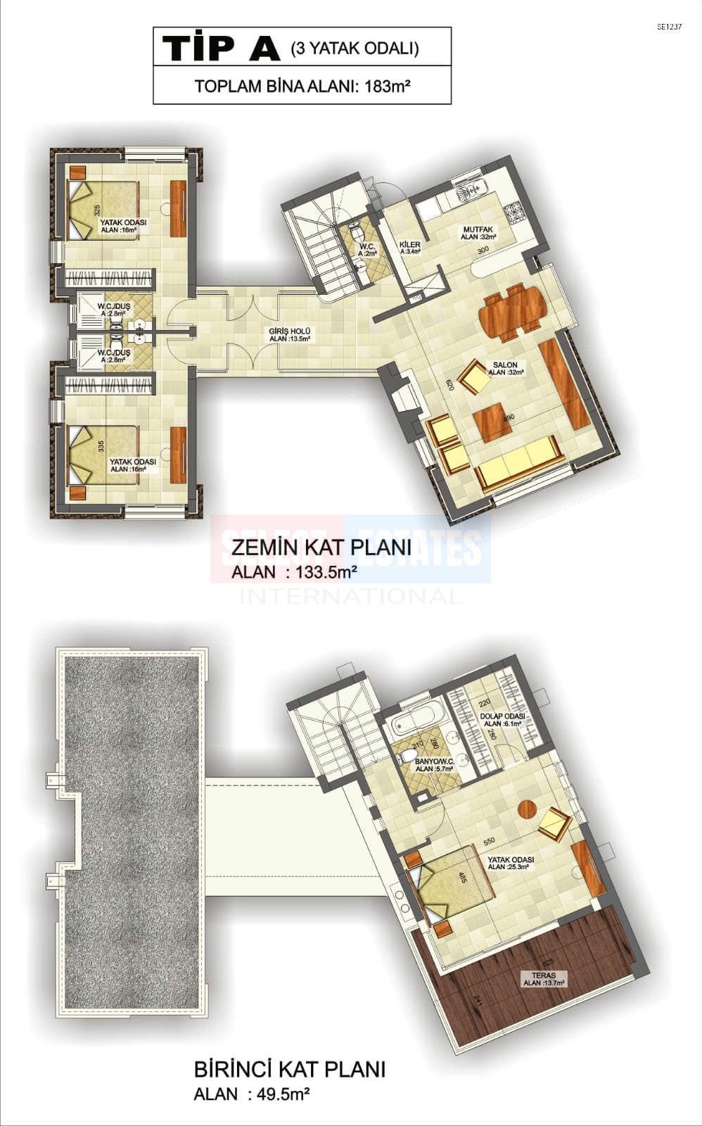 Luxury Modern Villa in Bahçeli