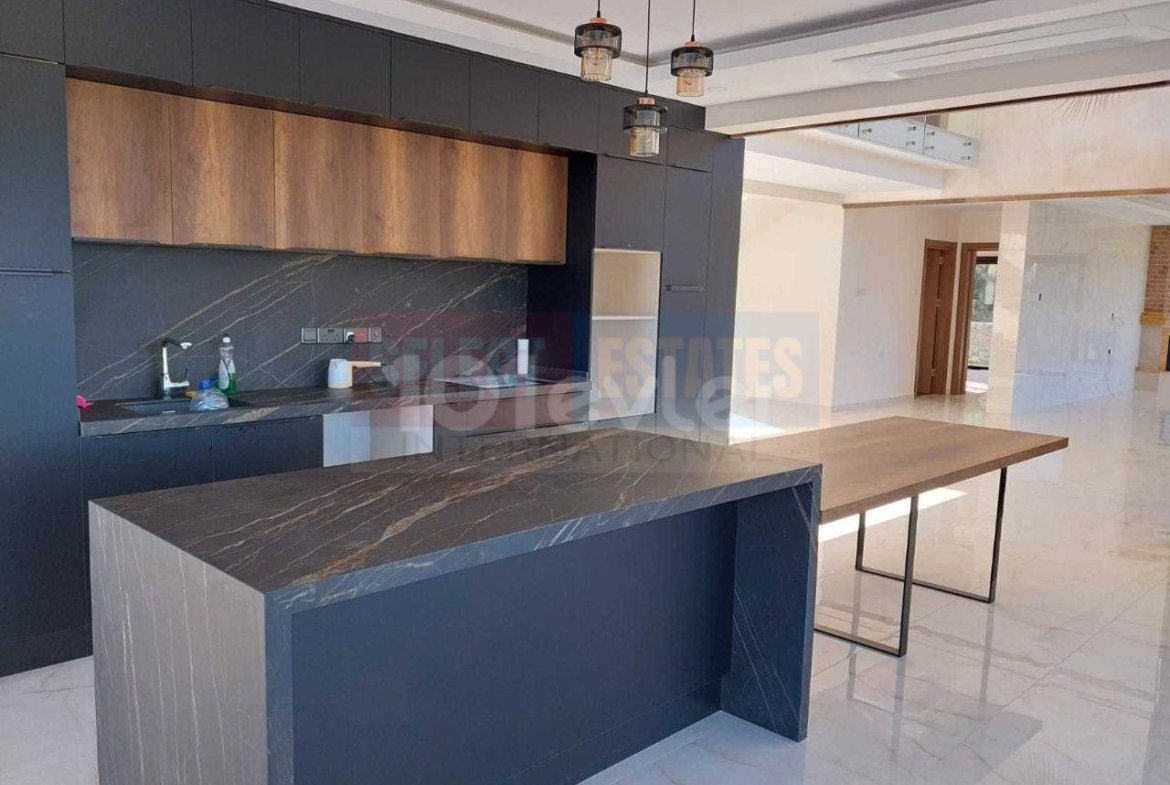 Luxury Villa with Vineyard Views and Infinity Pool in Ilgaz