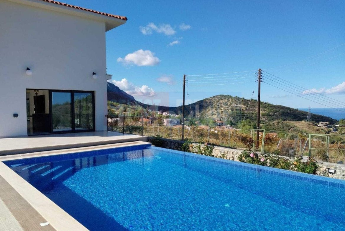 Luxury Villa with Vineyard Views and Infinity Pool in Ilgaz