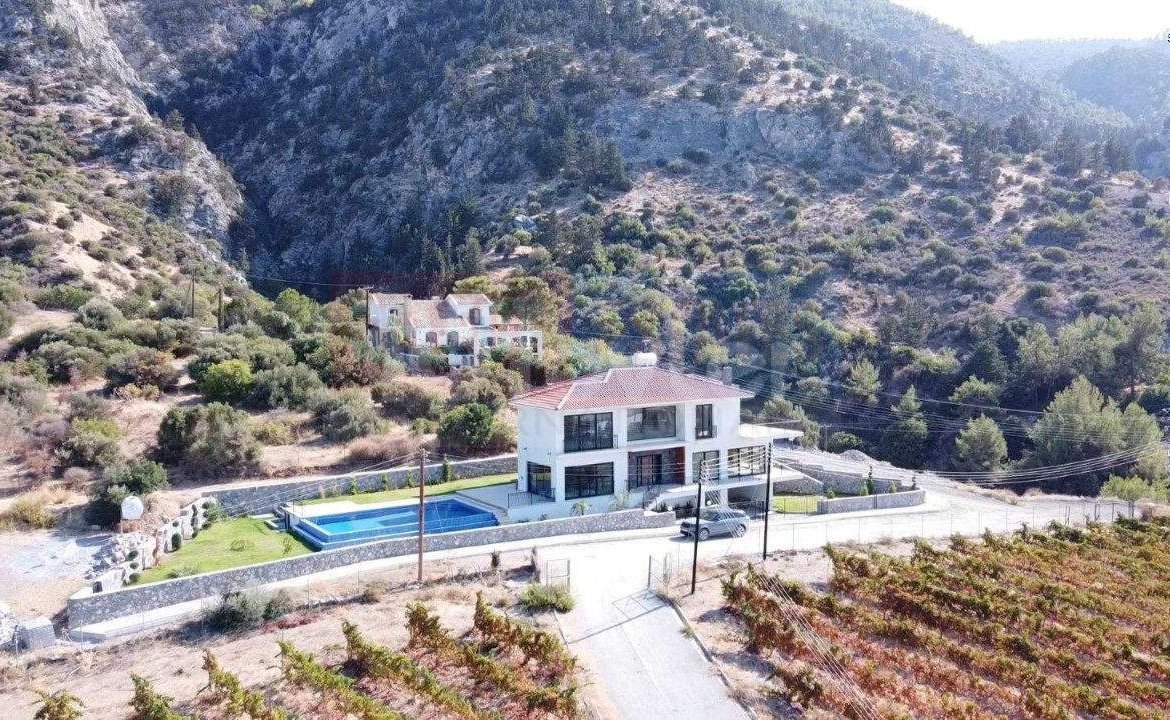 Luxury Villa with Vineyard Views and Infinity Pool in Ilgaz