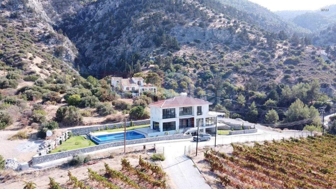 Luxury Villa with Vineyard Views and Infinity Pool in Ilgaz