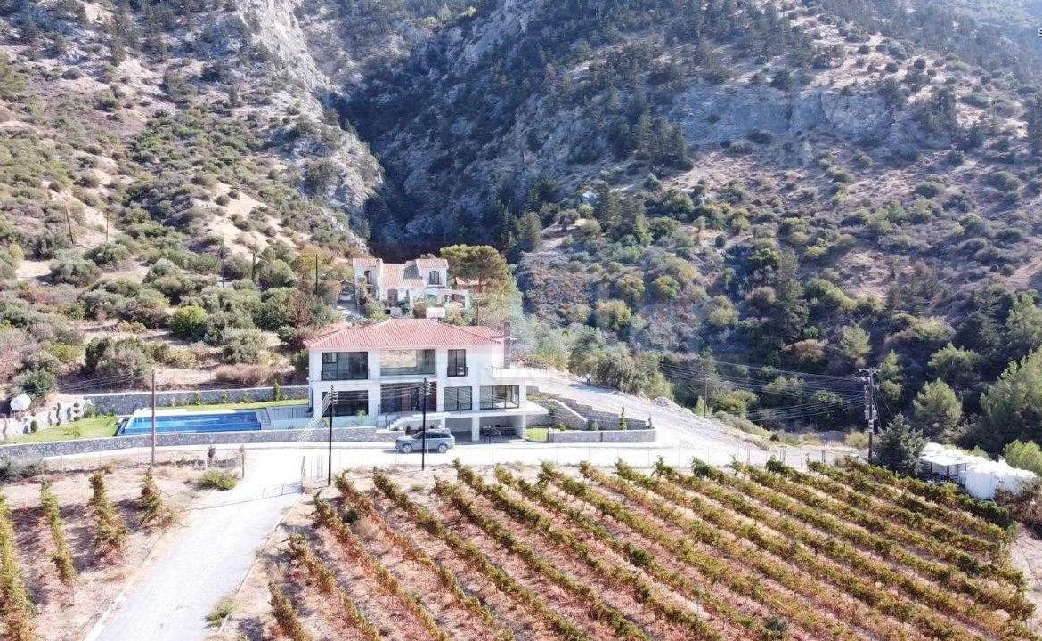 Luxury Villa with Vineyard Views and Infinity Pool in Ilgaz