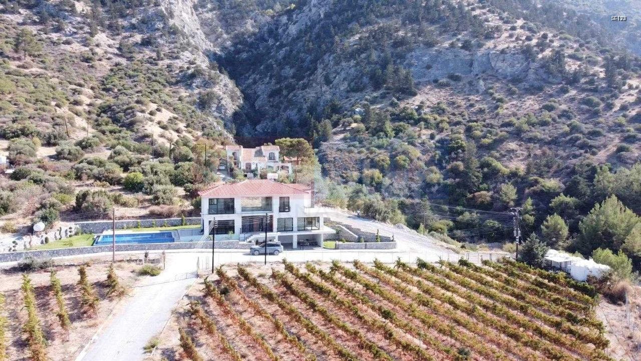 SE123_019 Luxury Villa with Vineyard Views and Infinity Pool in Ilgaz