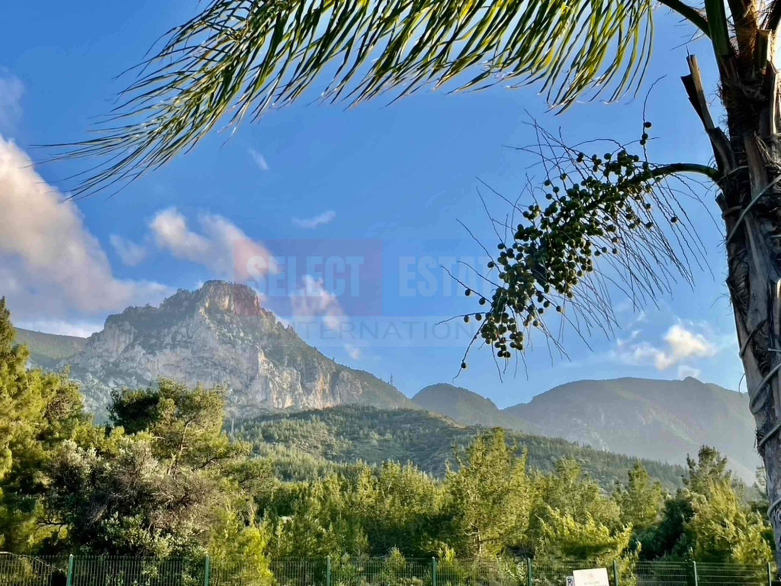 Kyrenia Vineyard Retreat | Tuscan-Inspired Luxury Apartments, Ilgaz