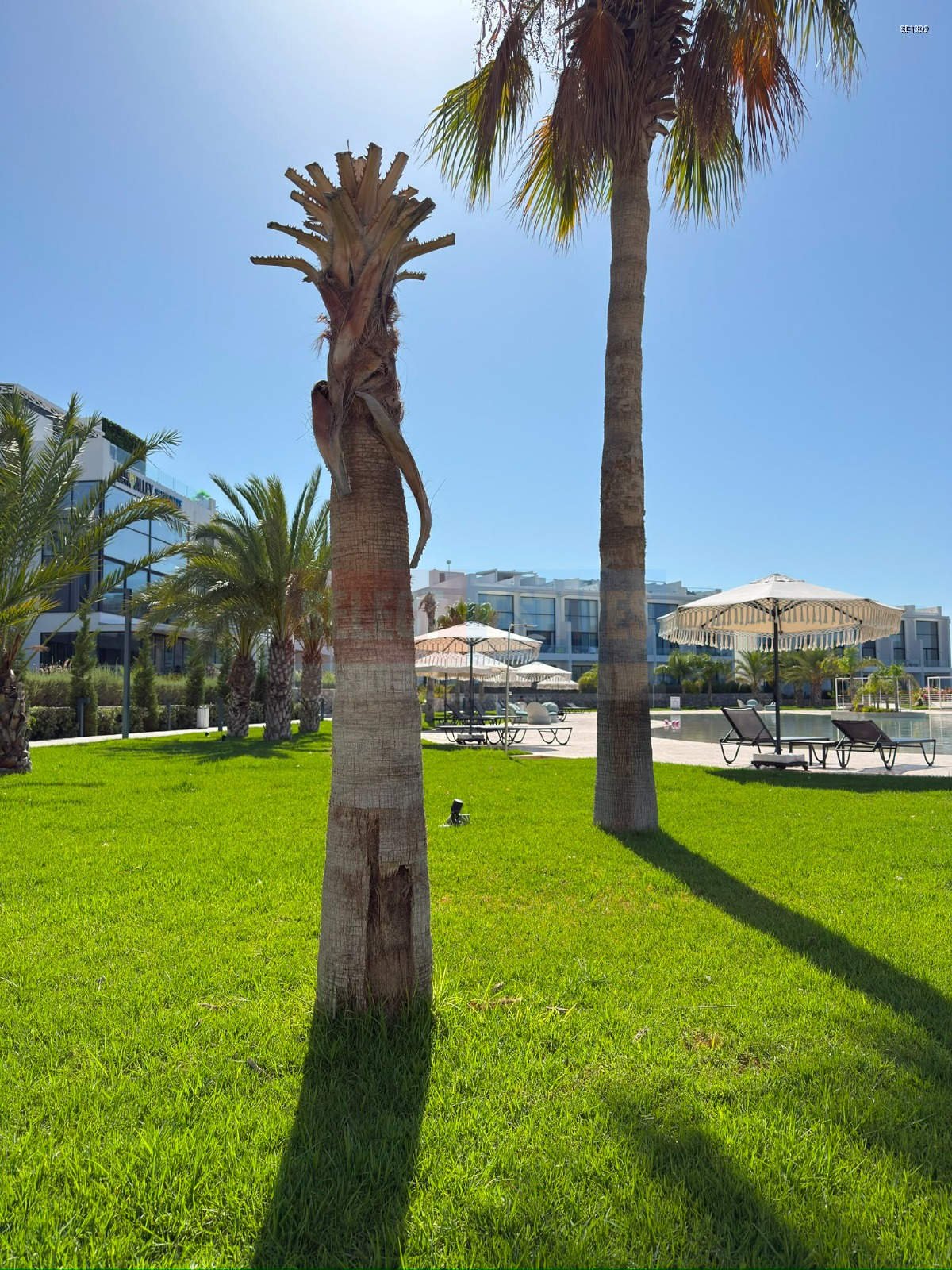 SE1392_020 Kyrenia Esentepe Furnished Loft Penthouse