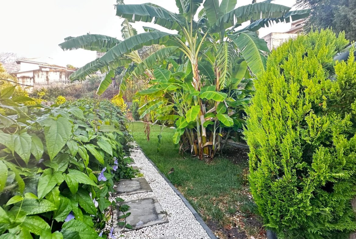Luxury Villa with Pool in Alsancak