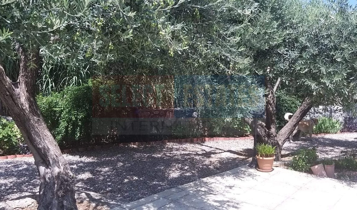 Lapta Detached Villa with Pool for Sale