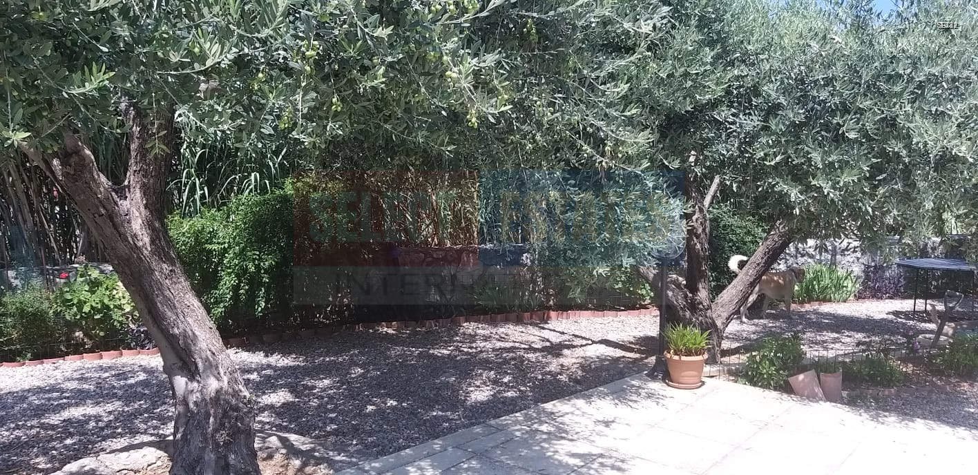Lapta Detached Villa with Pool for Sale