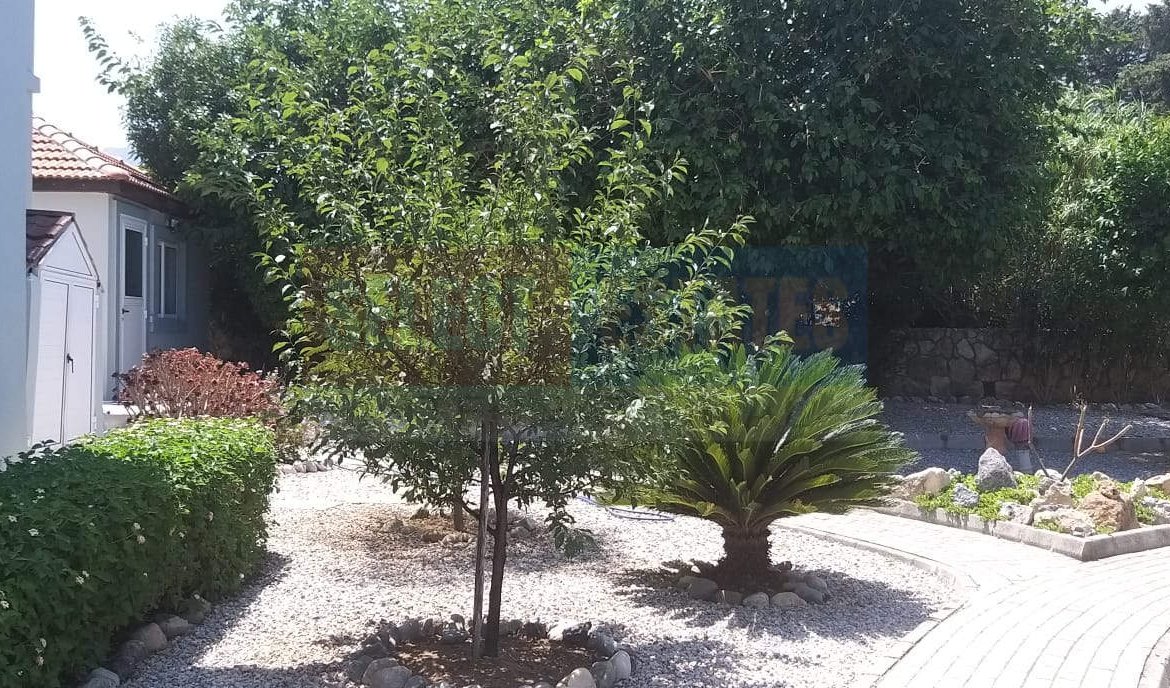 Lapta Detached Villa with Pool for Sale