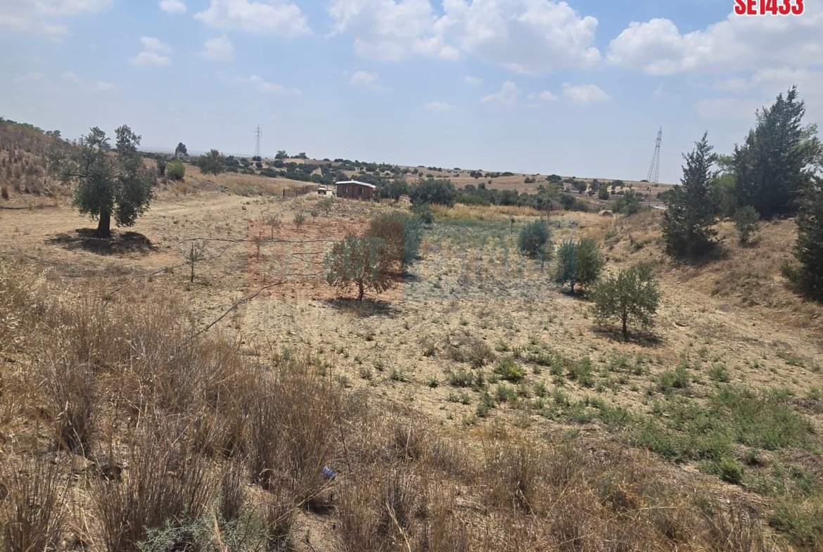 Olive Farm Camlica Gecitkale, North Cyprus Properties for Sale