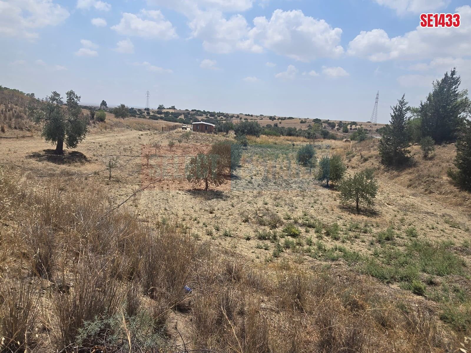 SE1433_06f275fba983 Olive Farm Camlica Gecitkale, North Cyprus Properties for Sale