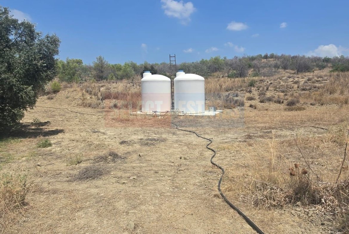 Olive Farm Camlica Gecitkale, North Cyprus Properties for Sale