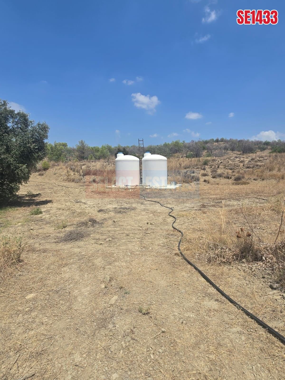 SE1433_17a31e09af4d Olive Farm Camlica Gecitkale, North Cyprus Properties for Sale