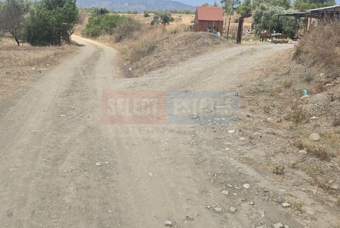 Olive Farm Camlica Gecitkale, North Cyprus Properties for Sale