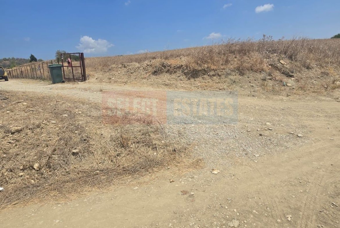 Olive Farm Camlica Gecitkale, North Cyprus Properties for Sale